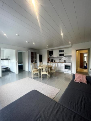 Stylish apartment in Helsinki, Helsinki